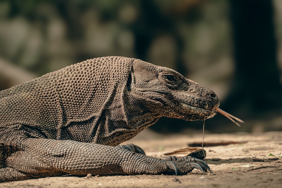 a large lizard with a long stick in its mouth